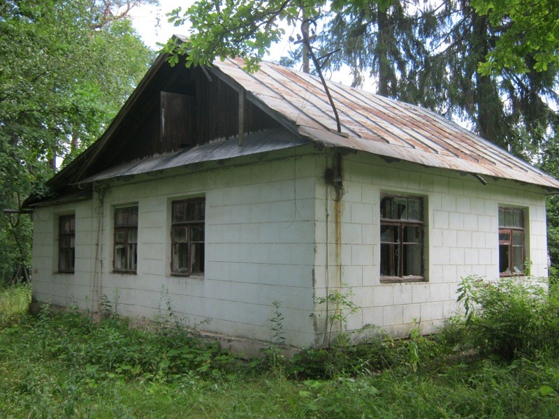 534535.jpg