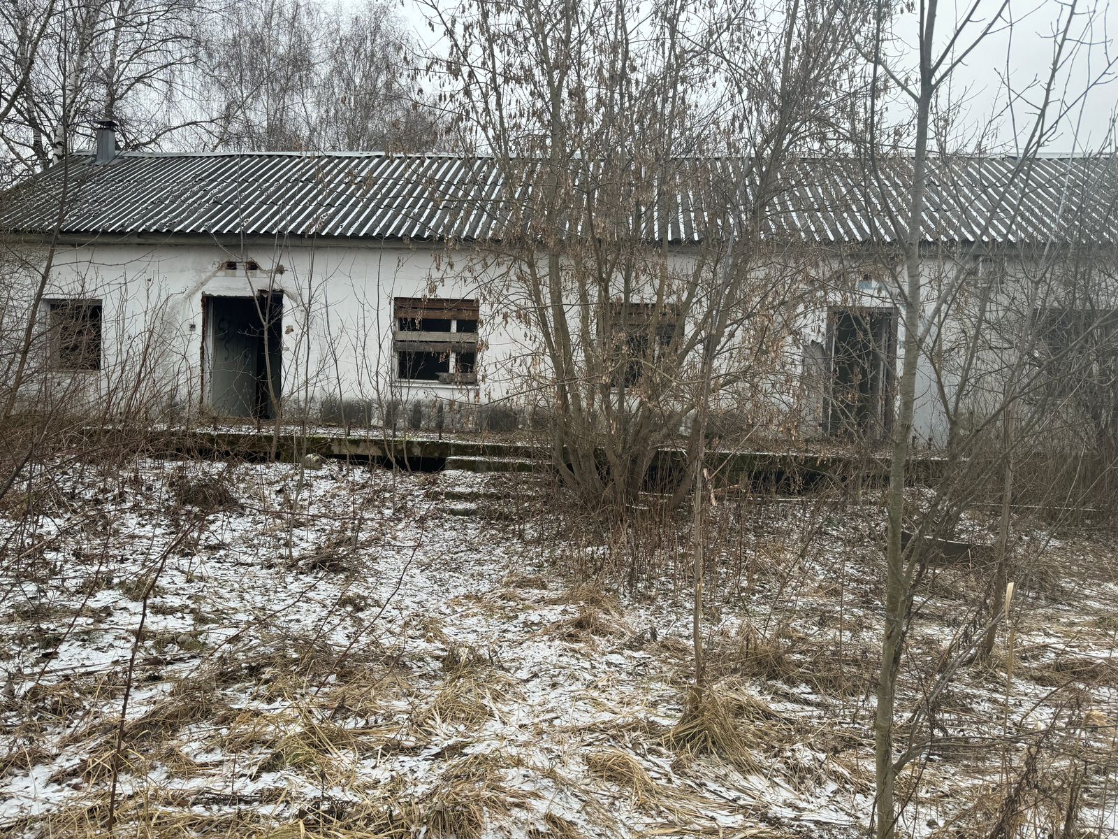 WhatsApp Image 2025-02-06 at 11.01.00 (1).jpeg