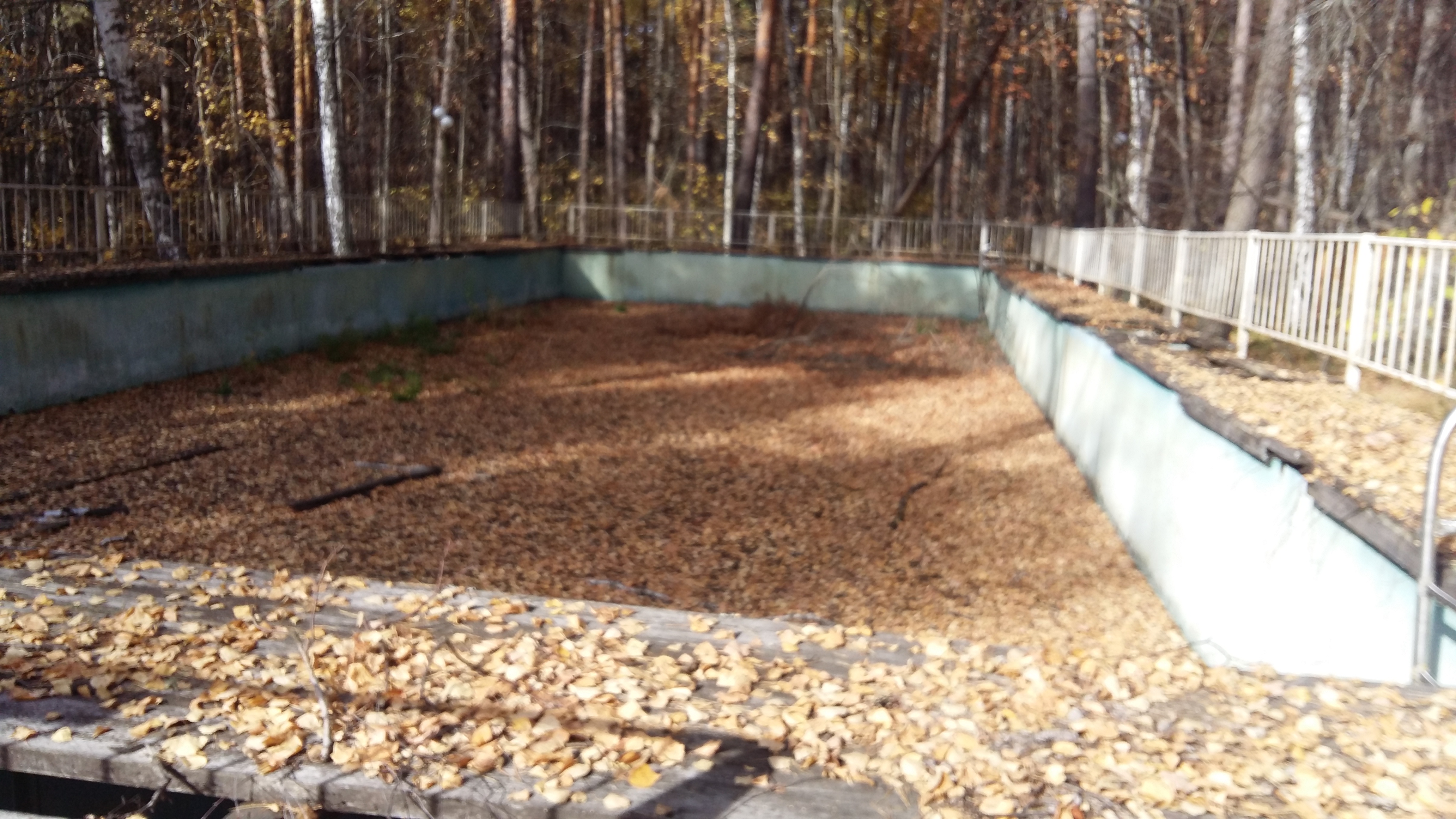 20201007_112654.jpg
