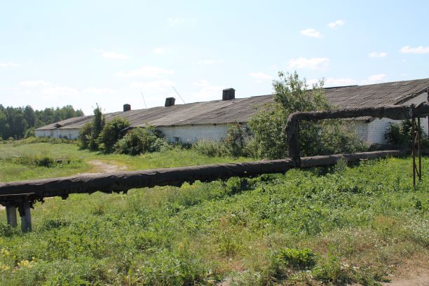 Земельный участок 1840 кв.м и здание птичника