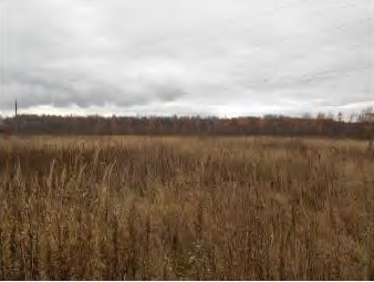 Земельный участок