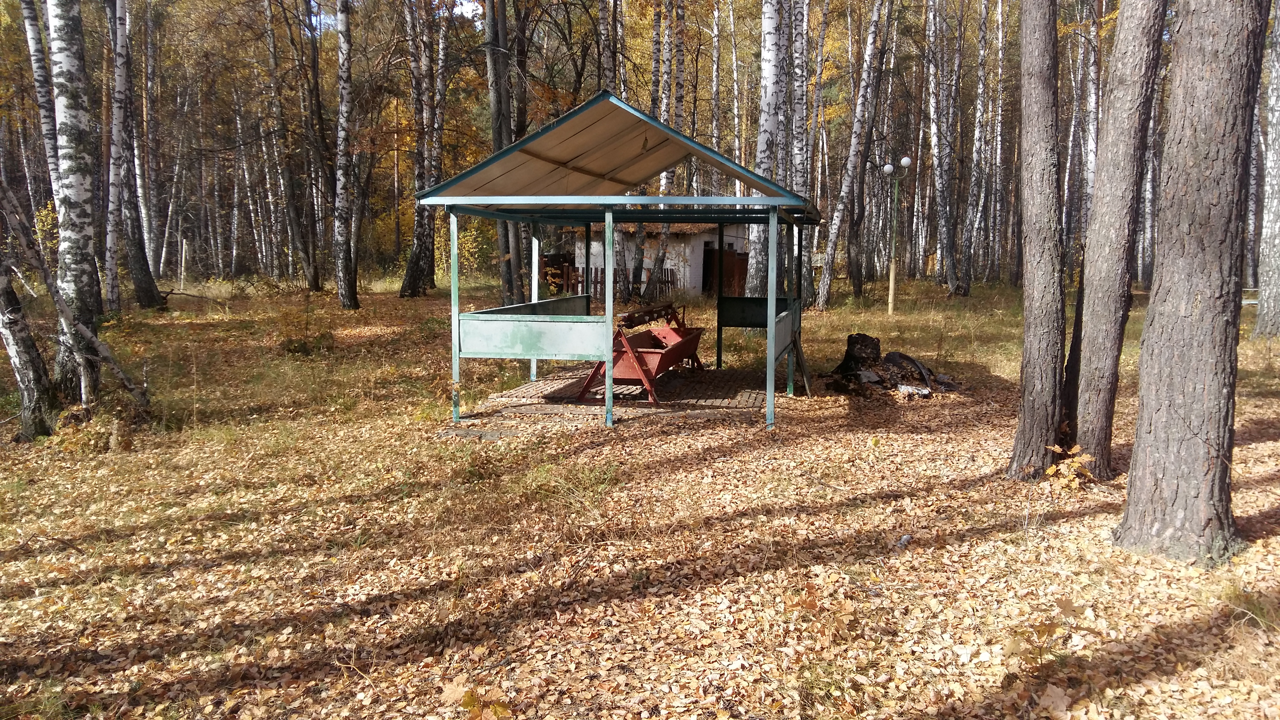 20201007_112133.jpg