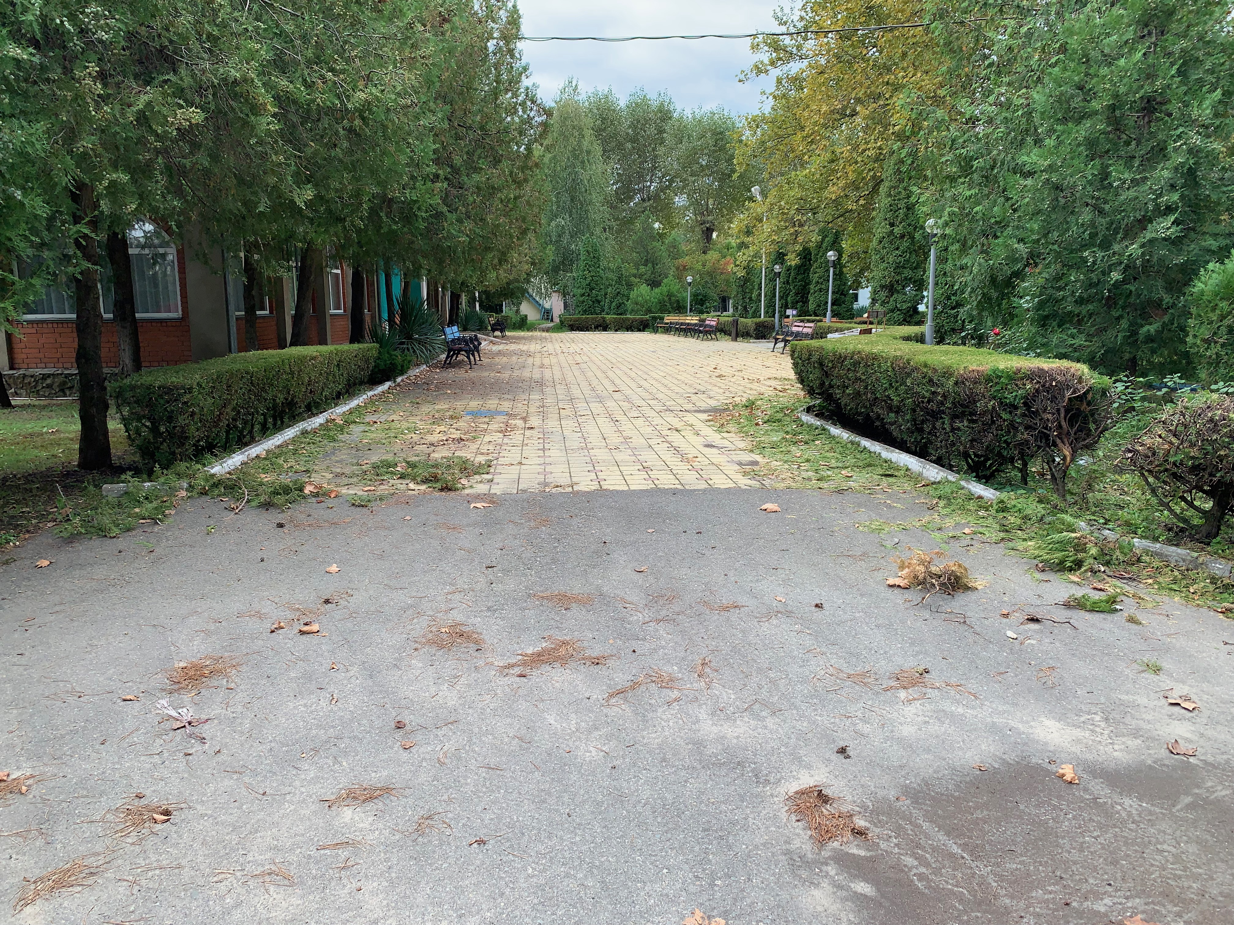 ДОЛ «Буревестник»
