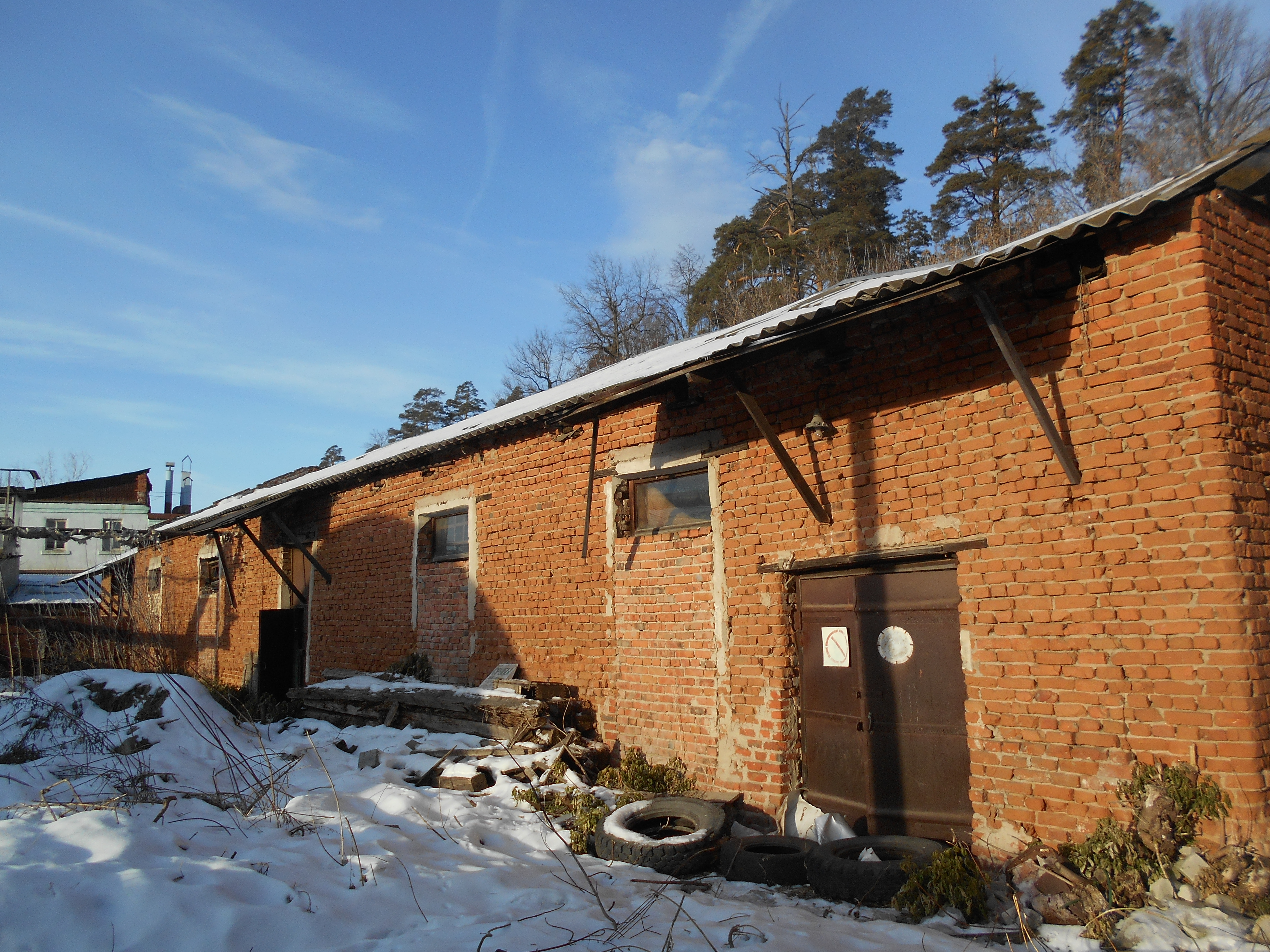 DSCN0482.jpg