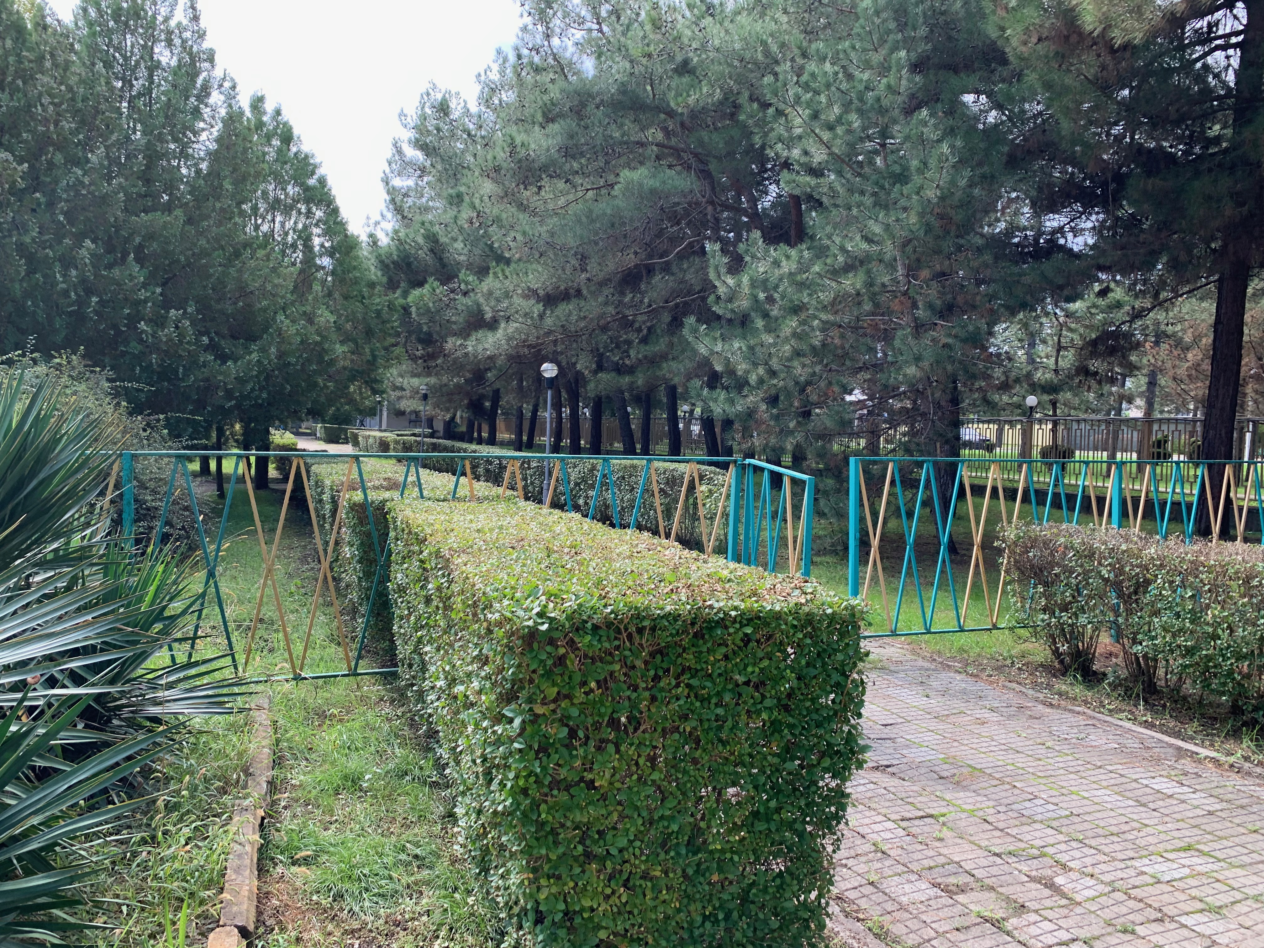 ДОЛ «Буревестник»