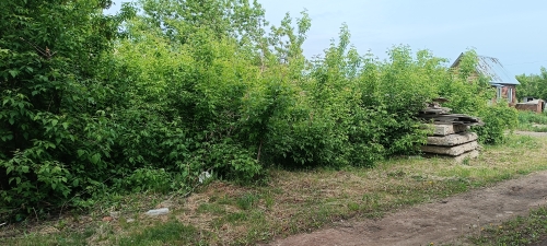 IMG_20230523_094143.jpg