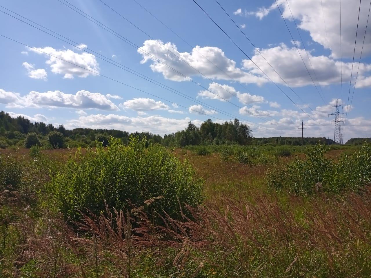 4df1f70cae56581a71887d5c84d8ffa7.jpg