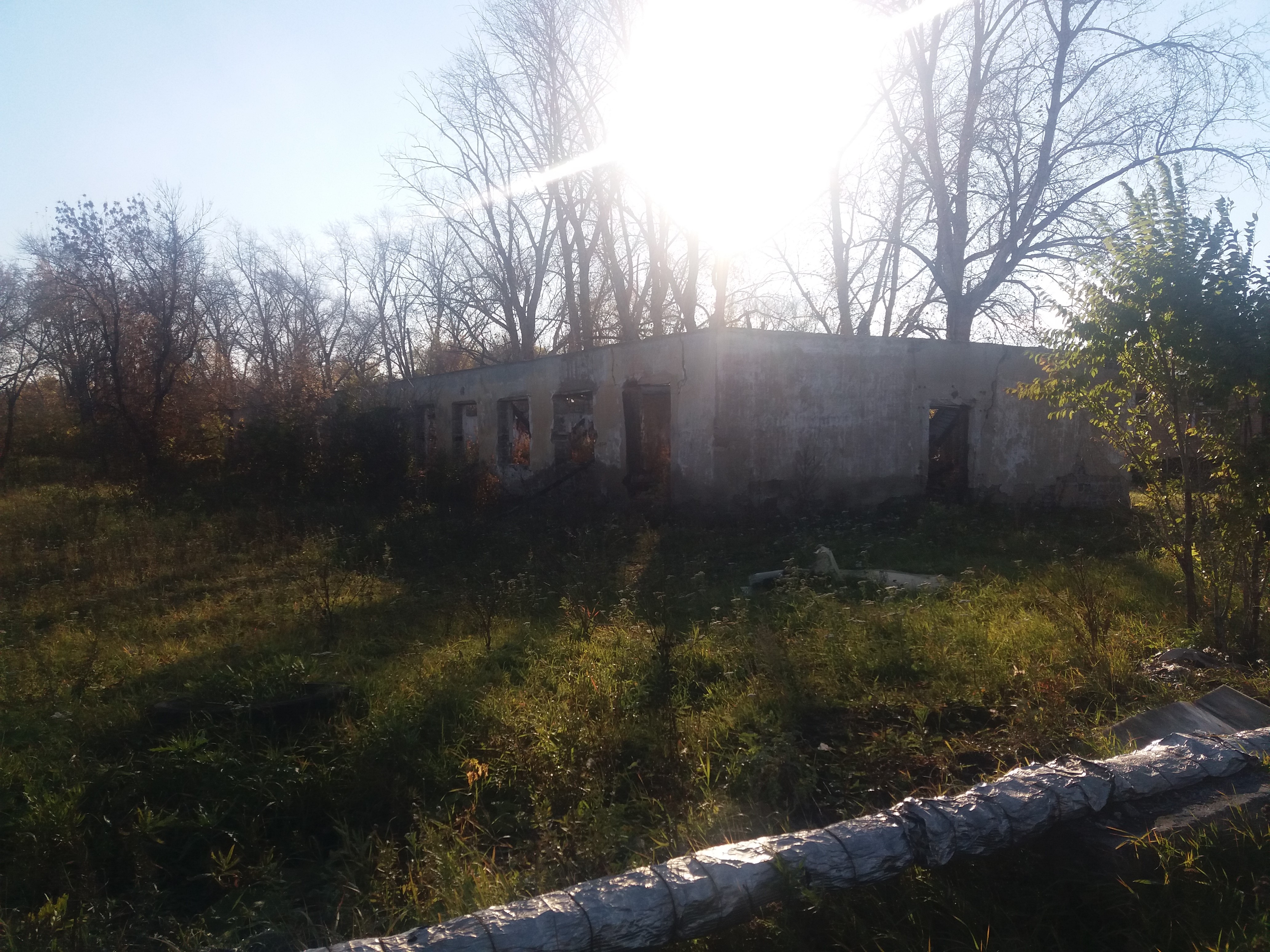 20201007_154137.jpg