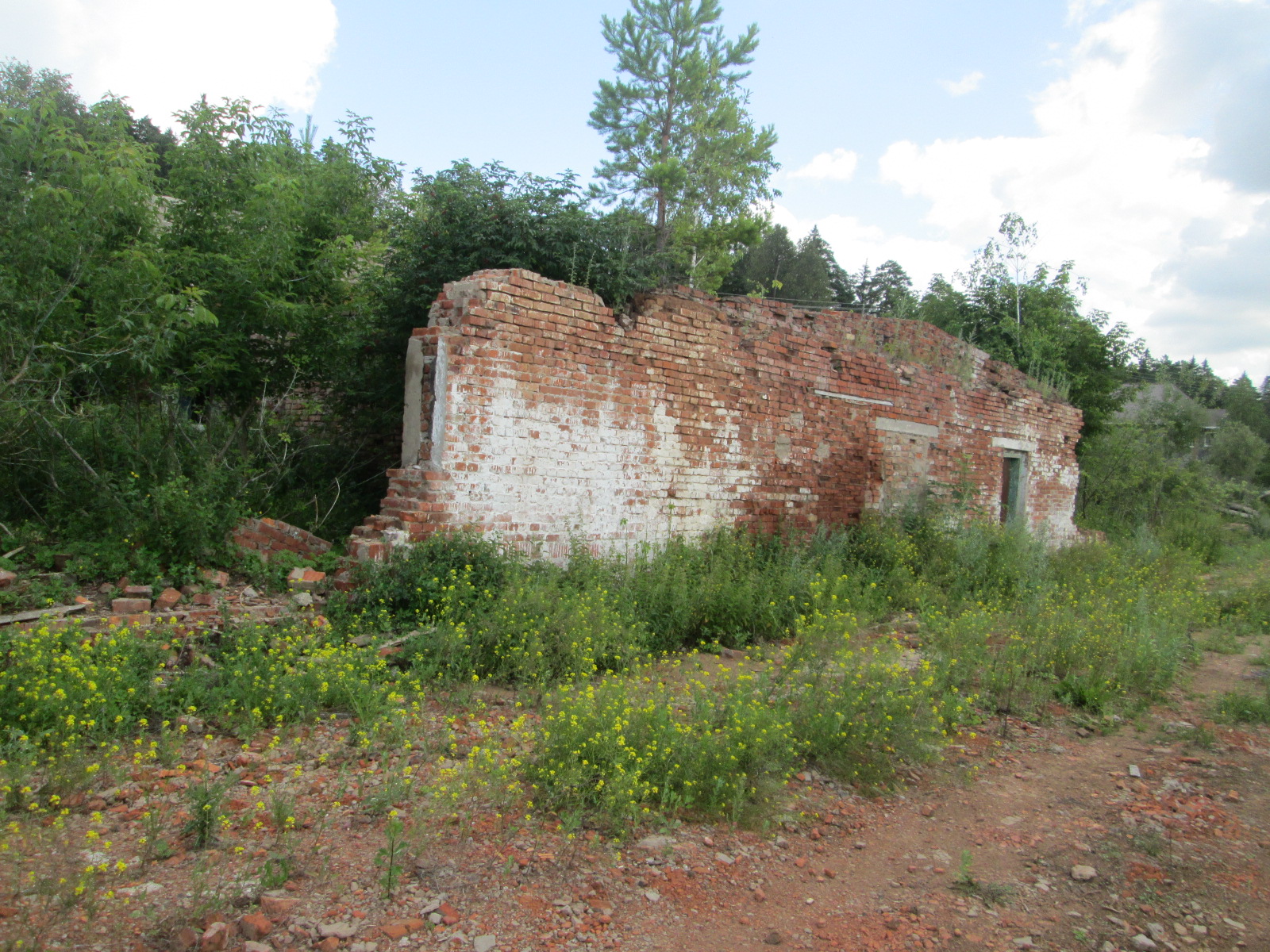 IMG_9716.JPG
