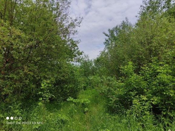 Земельный участок 3600 кв.м.