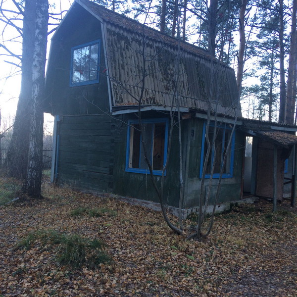 Домик-24_0.jpg