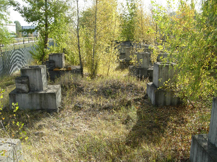 3.bmp