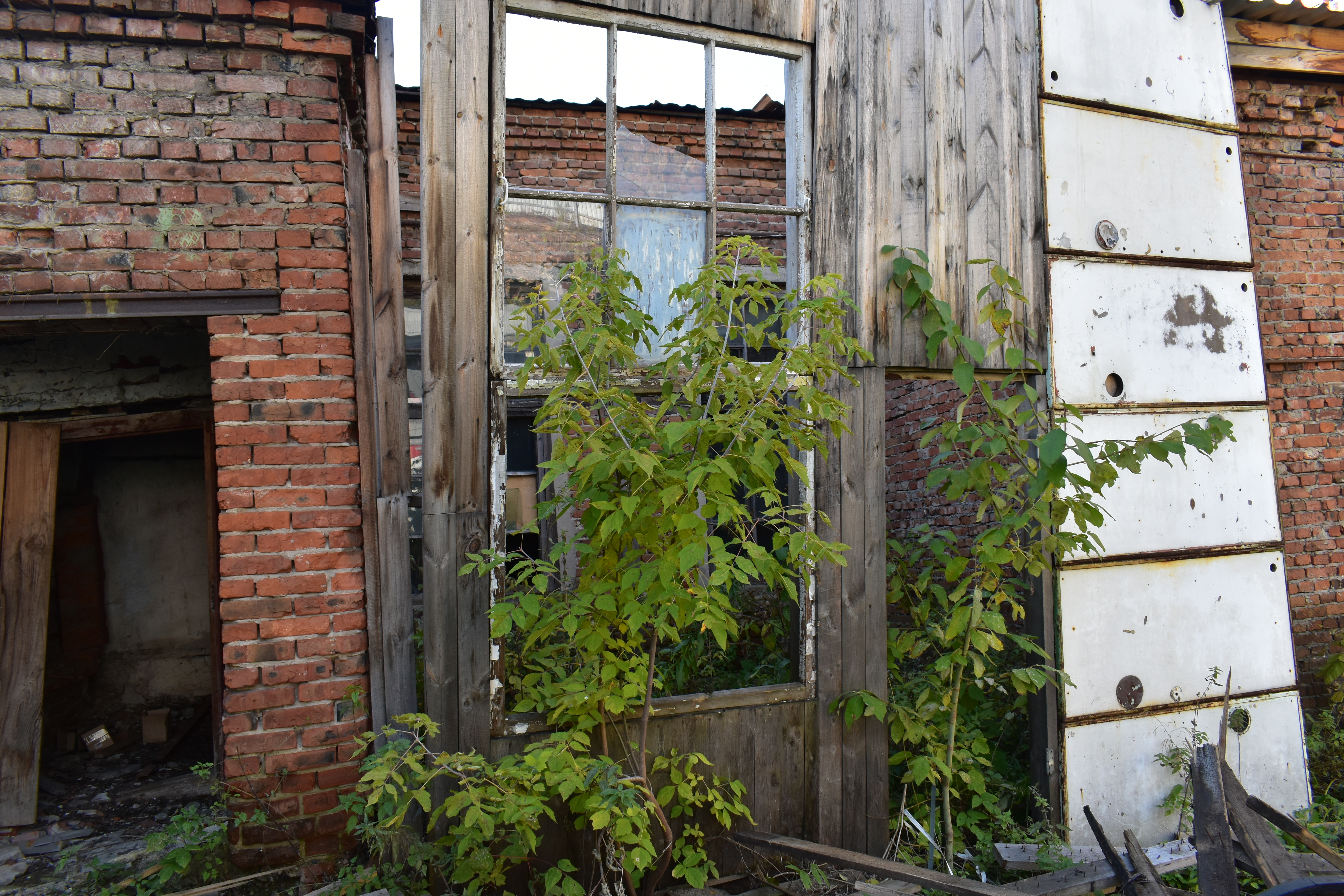 DSC_0182.JPG