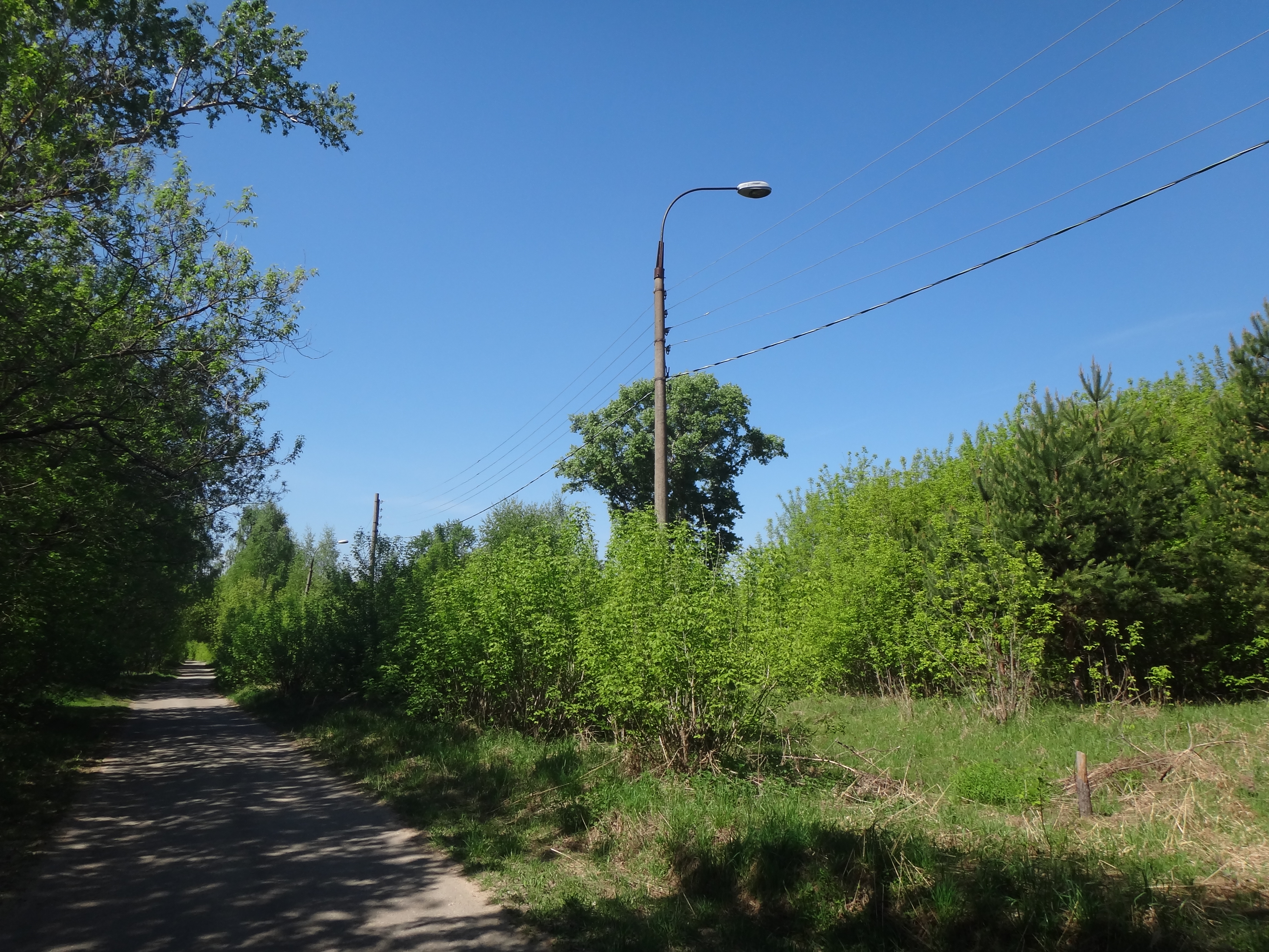DSC06924.JPG