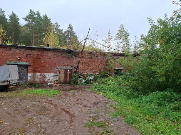 ДС 21 Отчет с ПиП-37.jpg