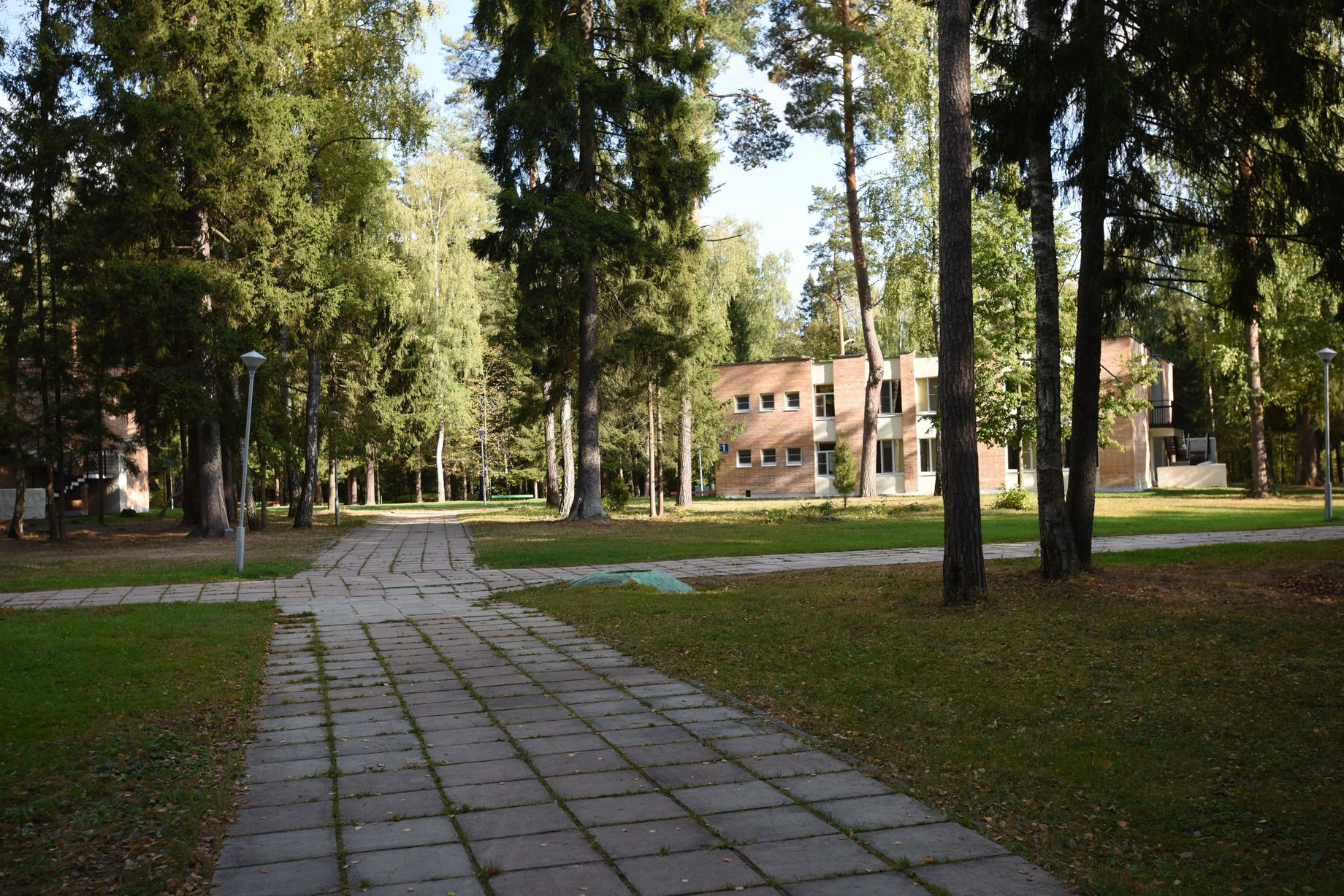 DSC_5478.JPG