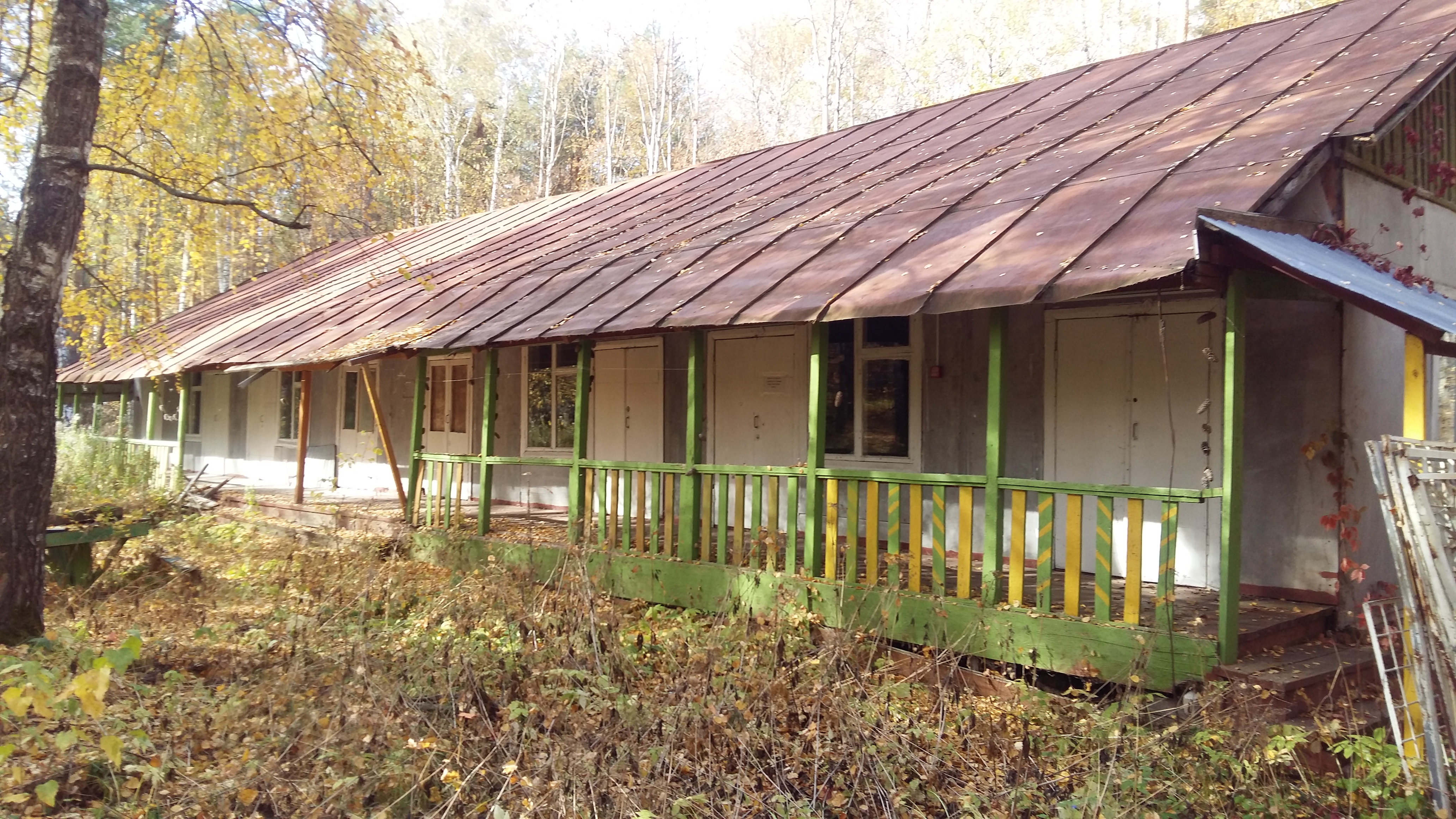 20201007_113002.jpg