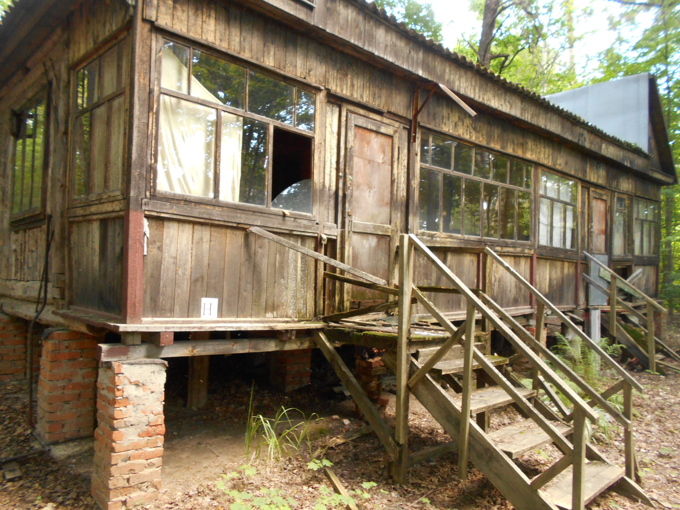 DSCN3524.JPG