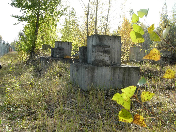 6.bmp