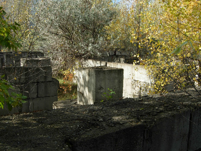 9.bmp
