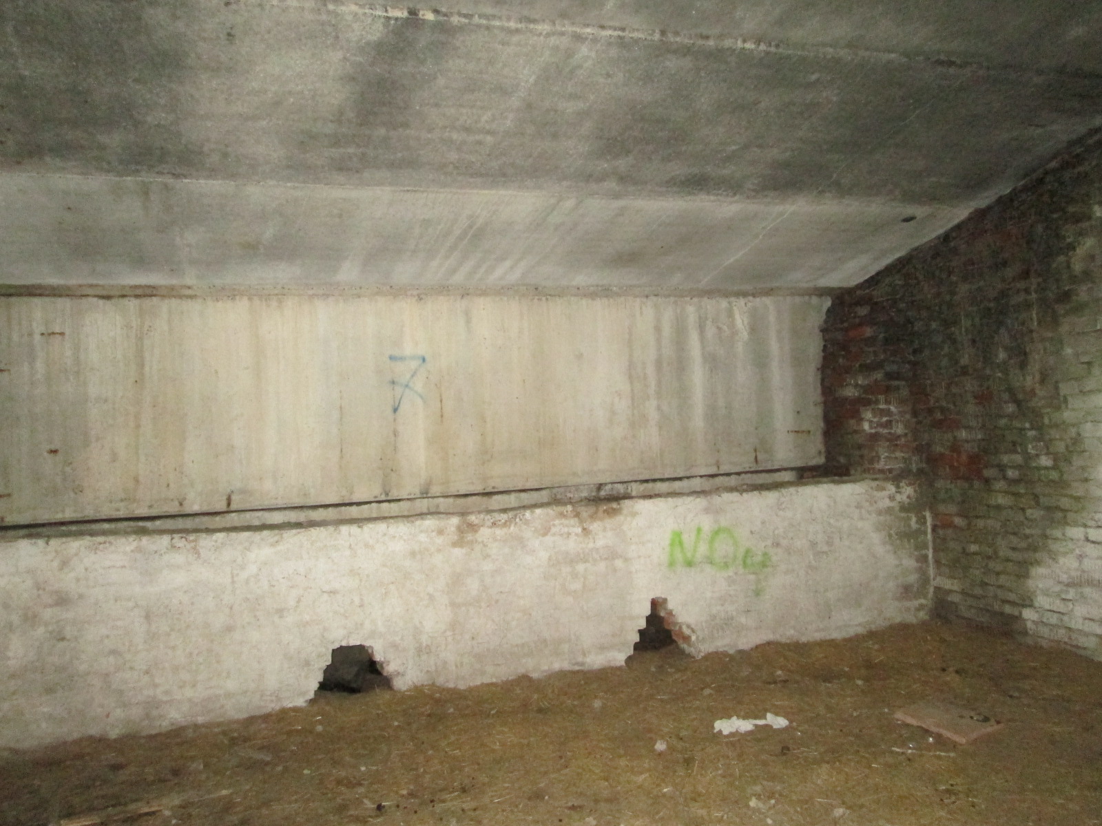 IMG_0145.JPG