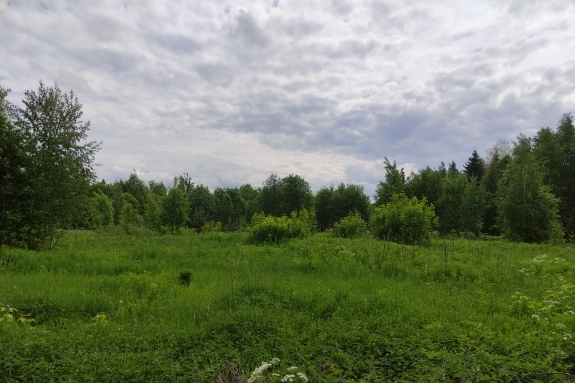 Земельный участок  3600  кв.м.