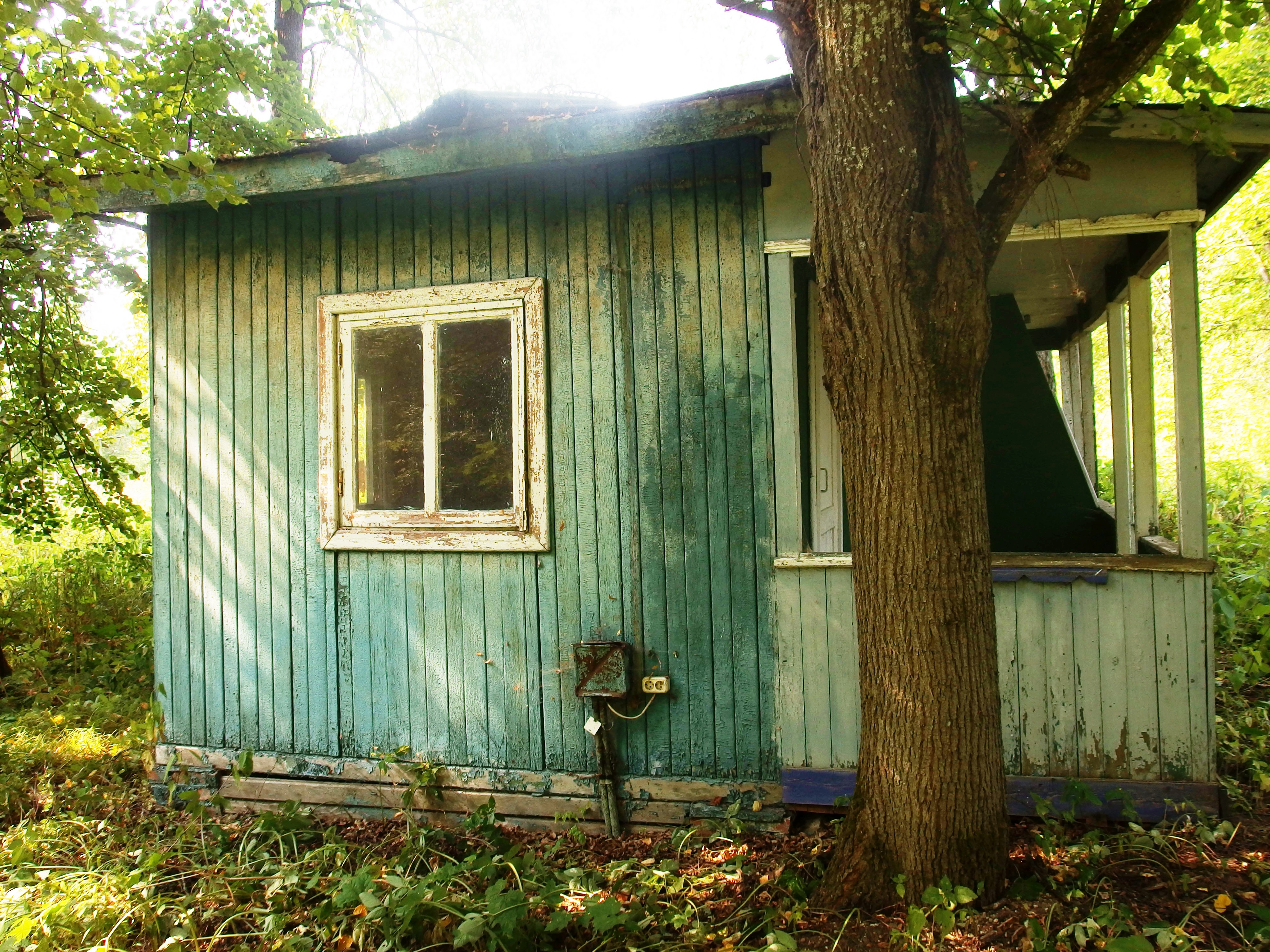P8180089.JPG