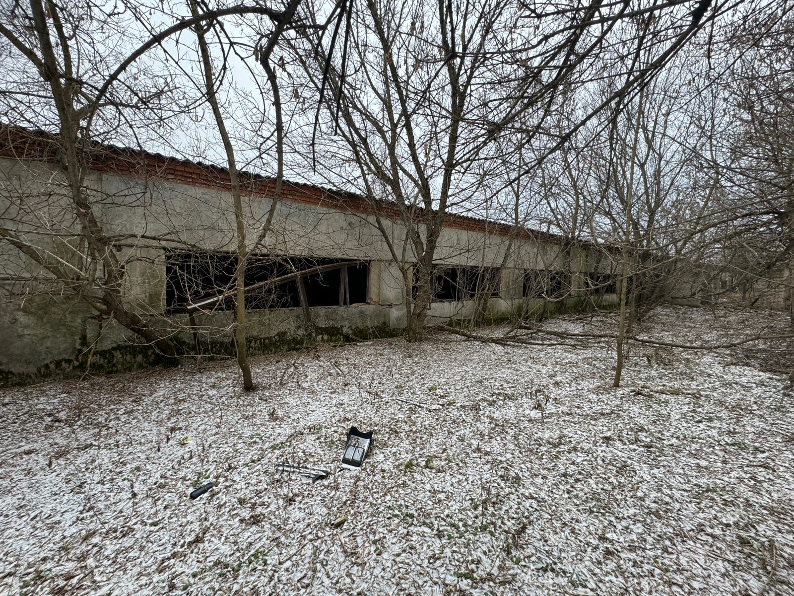 WhatsApp Image 2025-02-06 at 10.51.10.jpeg