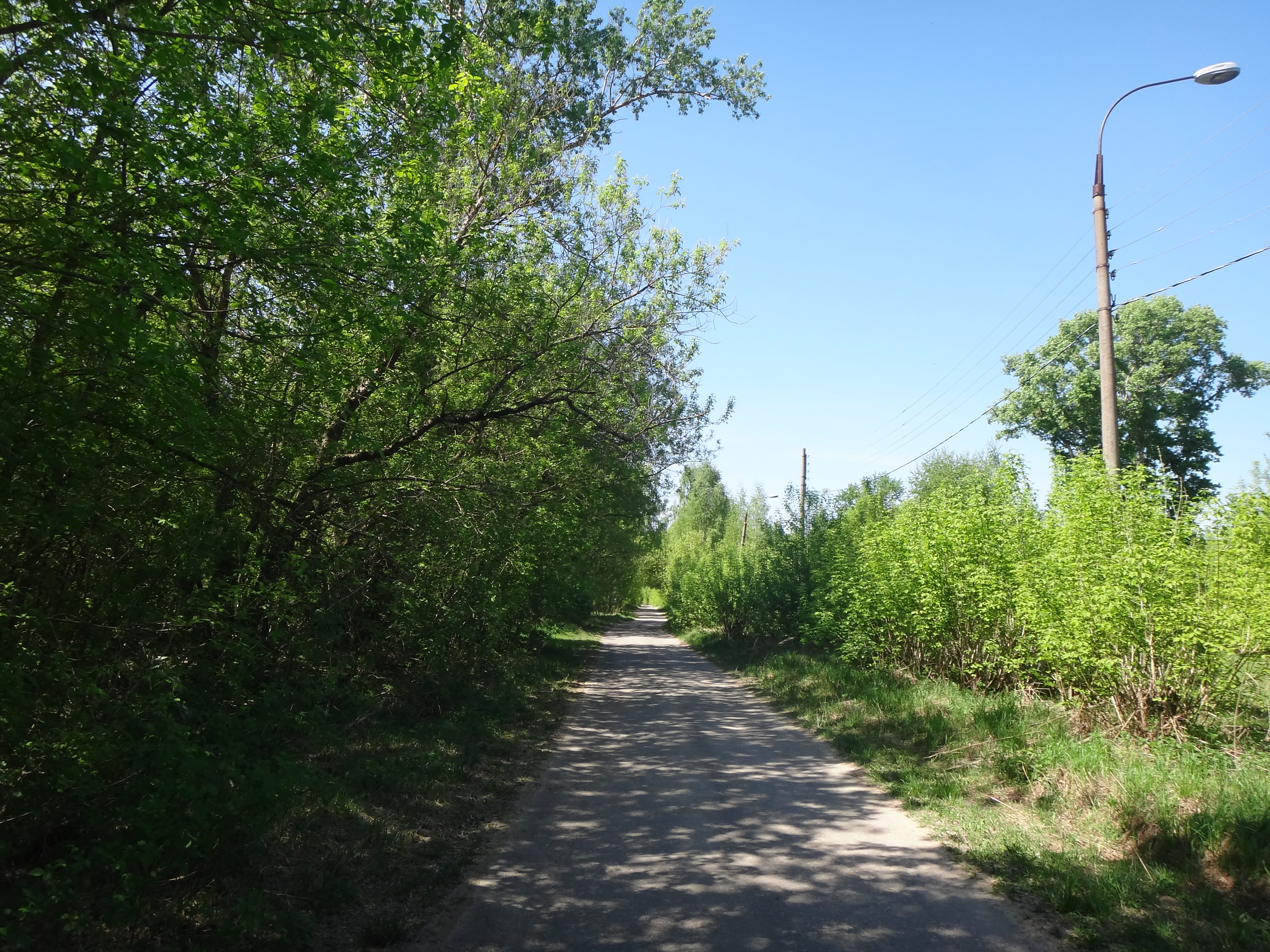 DSC06925.JPG