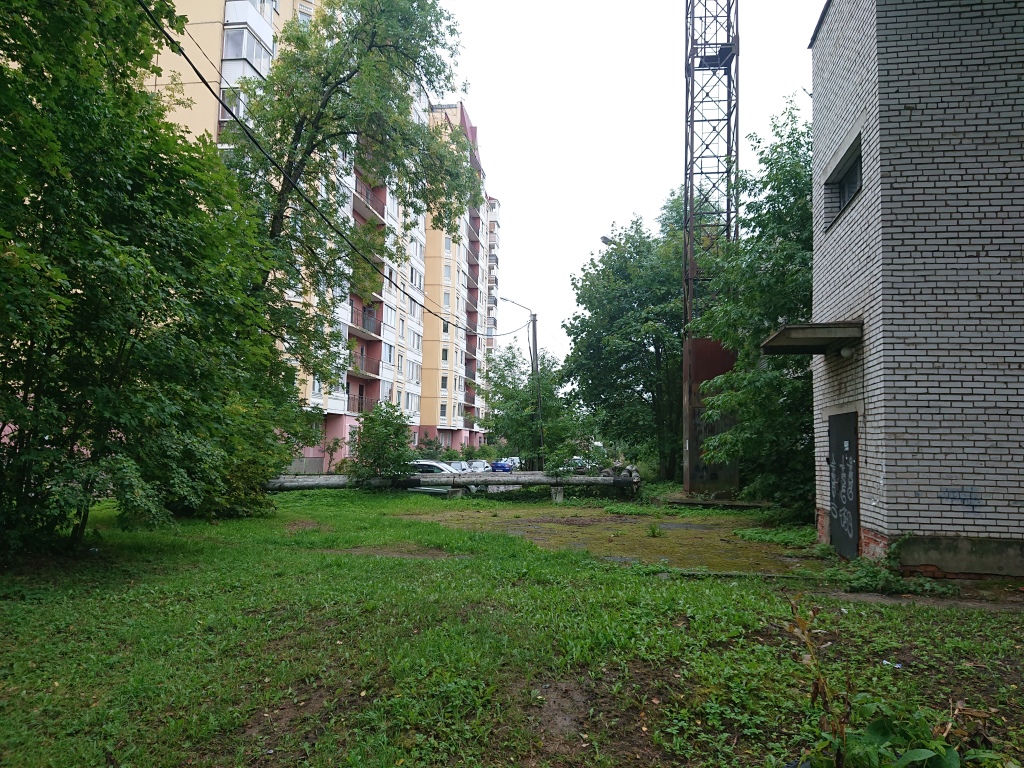 DSC_6785.JPG