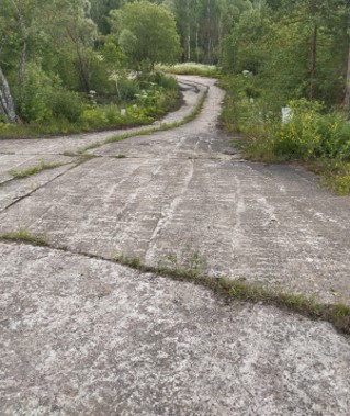 2606_P_4.jpg
