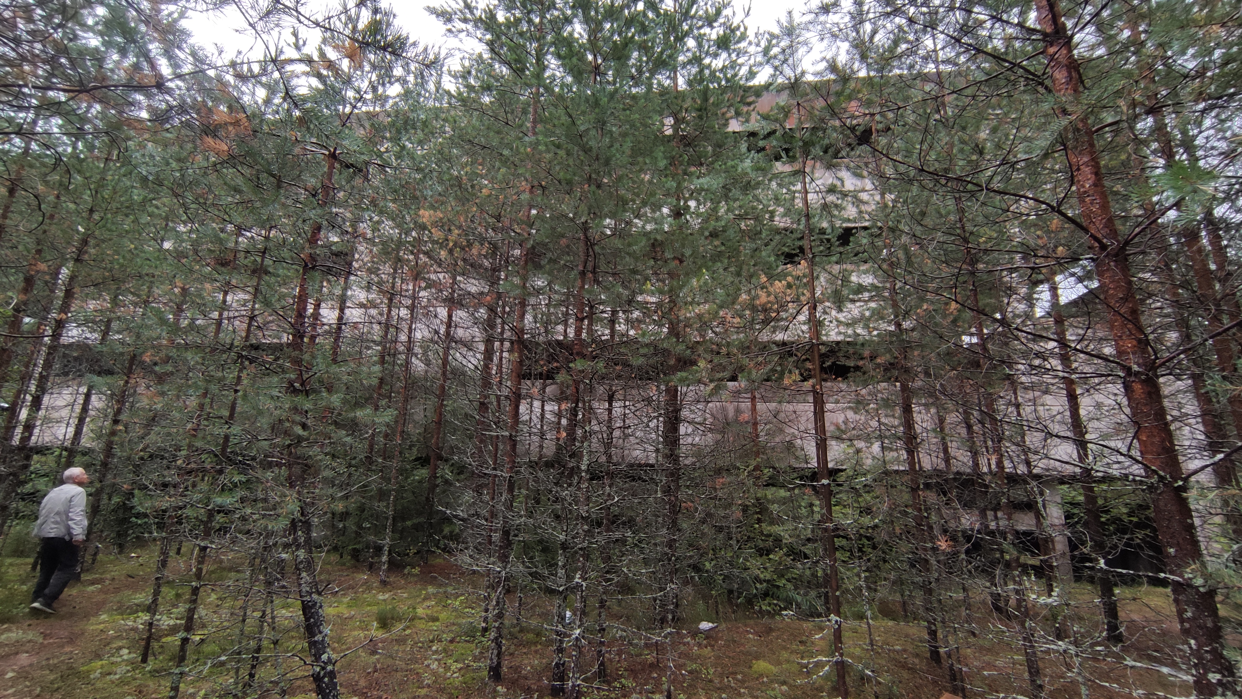 IMG_20220831_130158.jpg