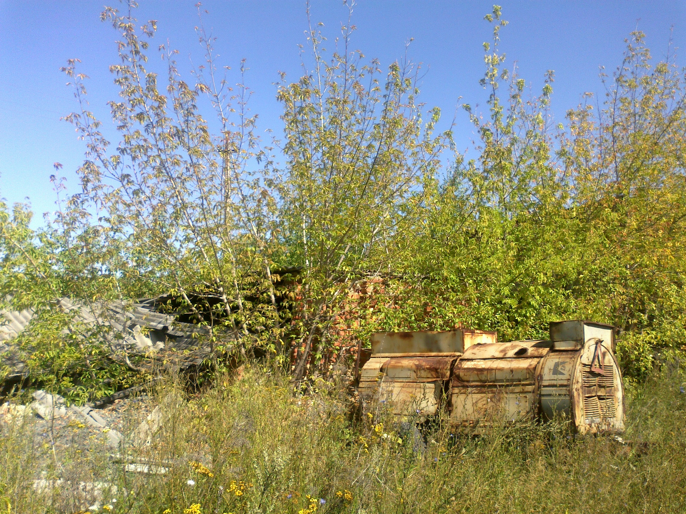 140820141101.jpg
