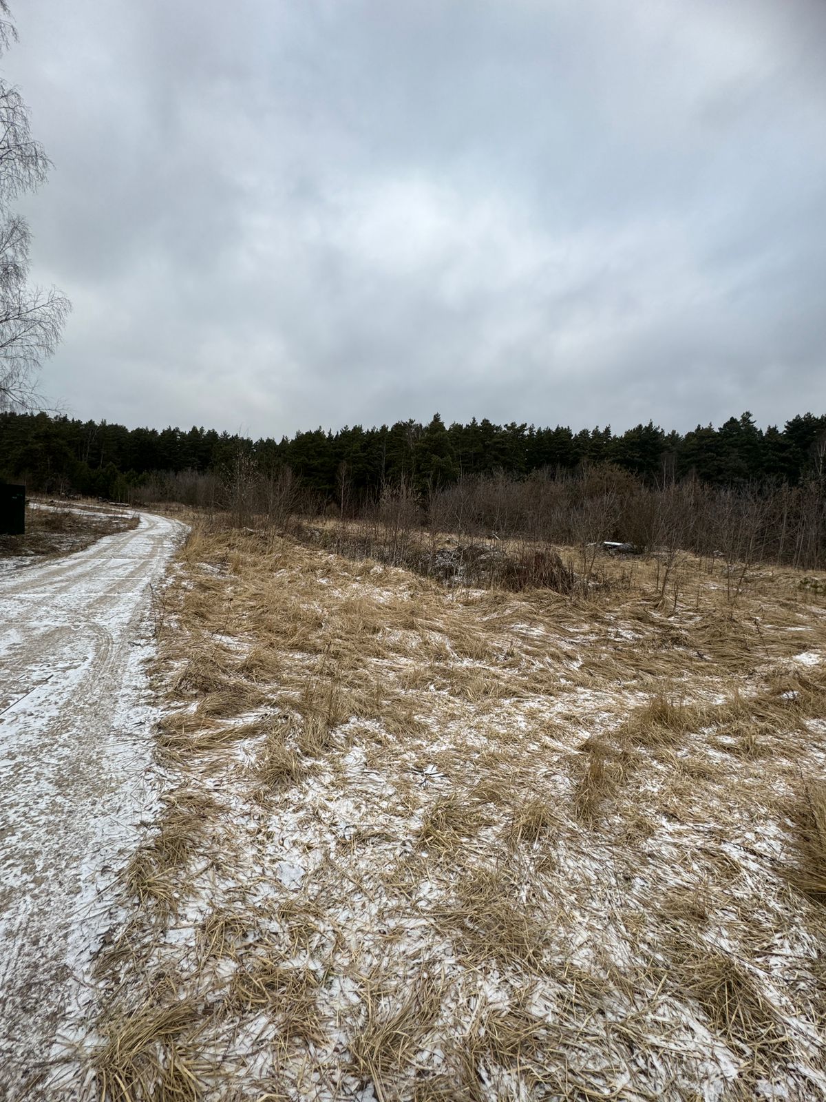 WhatsApp Image 2025-02-06 at 10.15.39.jpeg