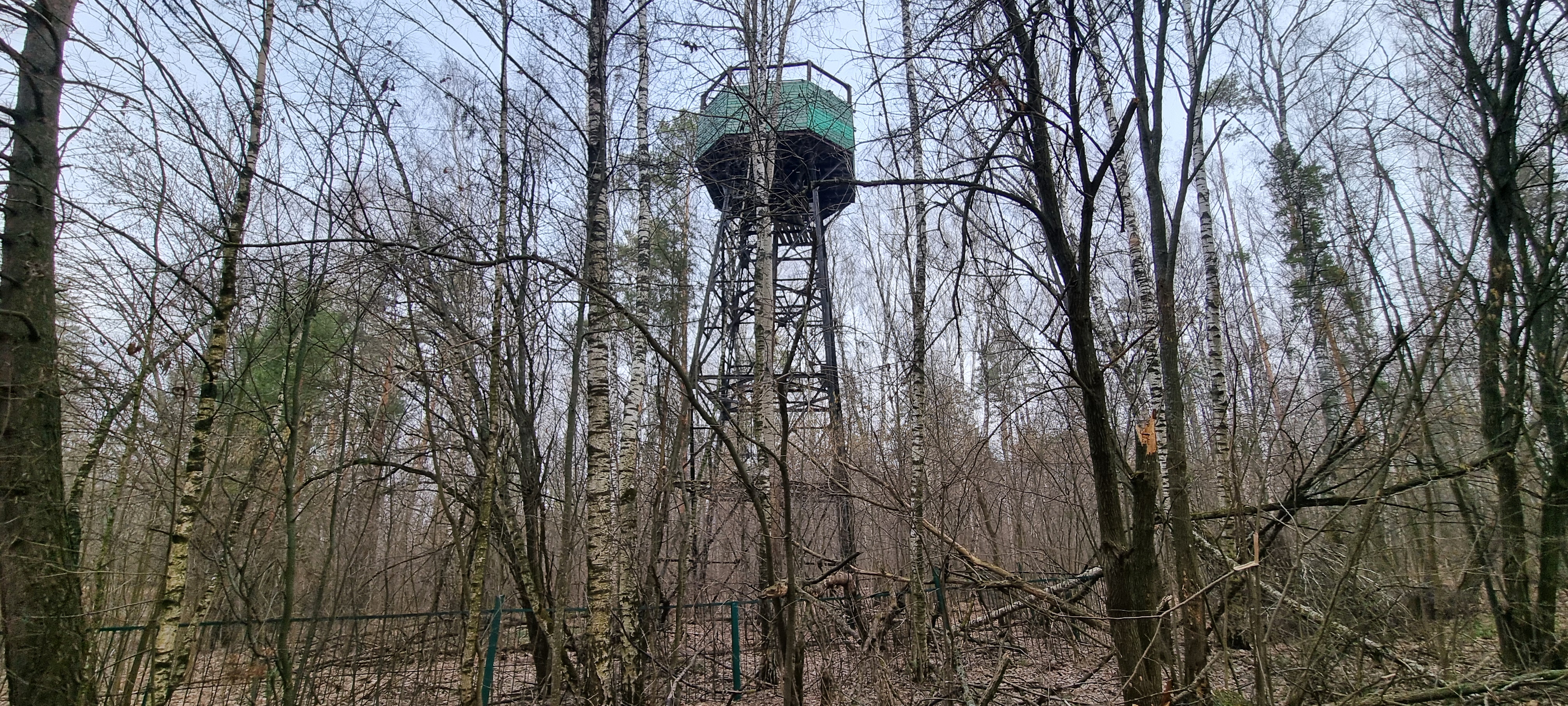 База отдыха "Лесные дали".