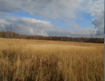 Земельный участок