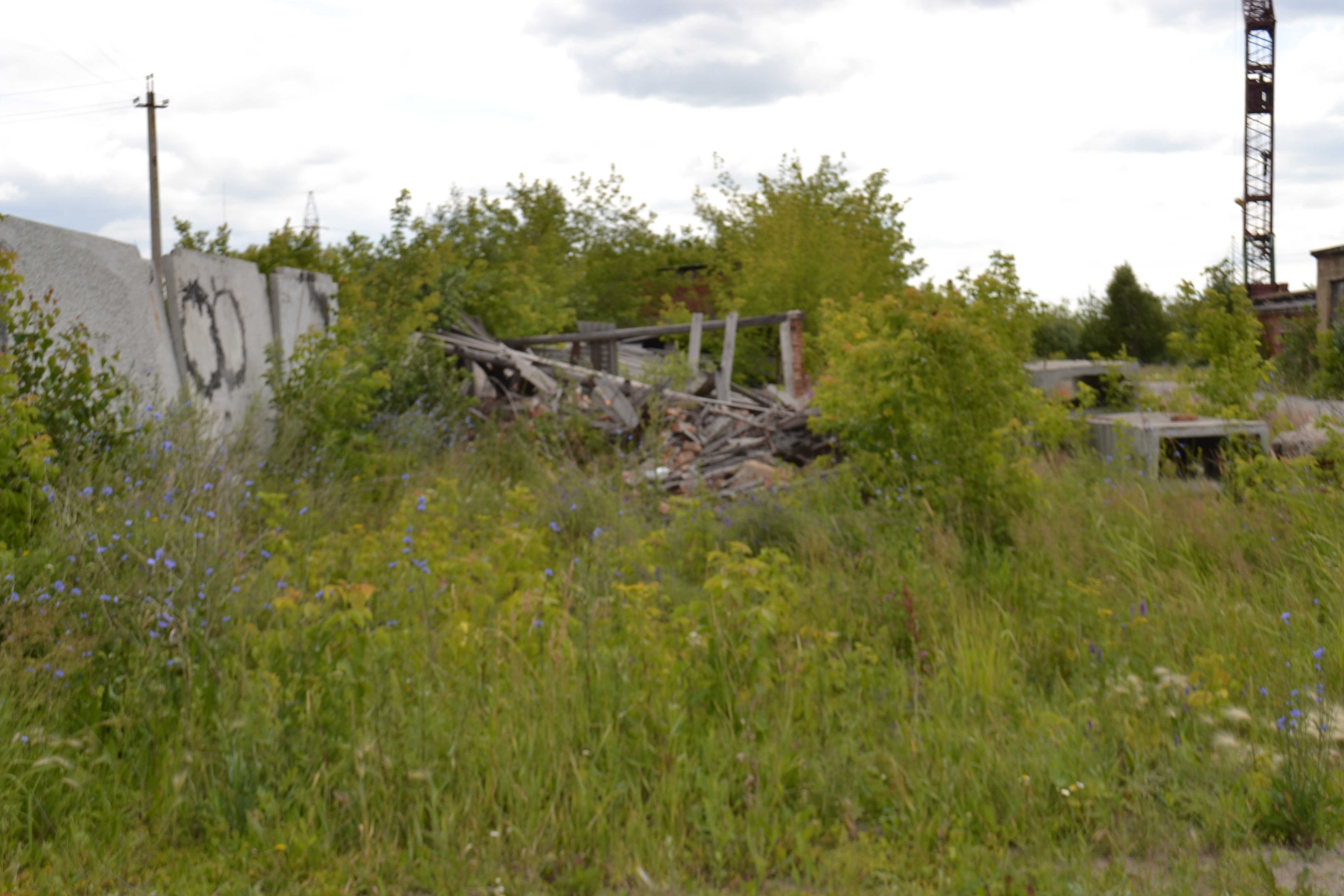 DSC_0029.JPG