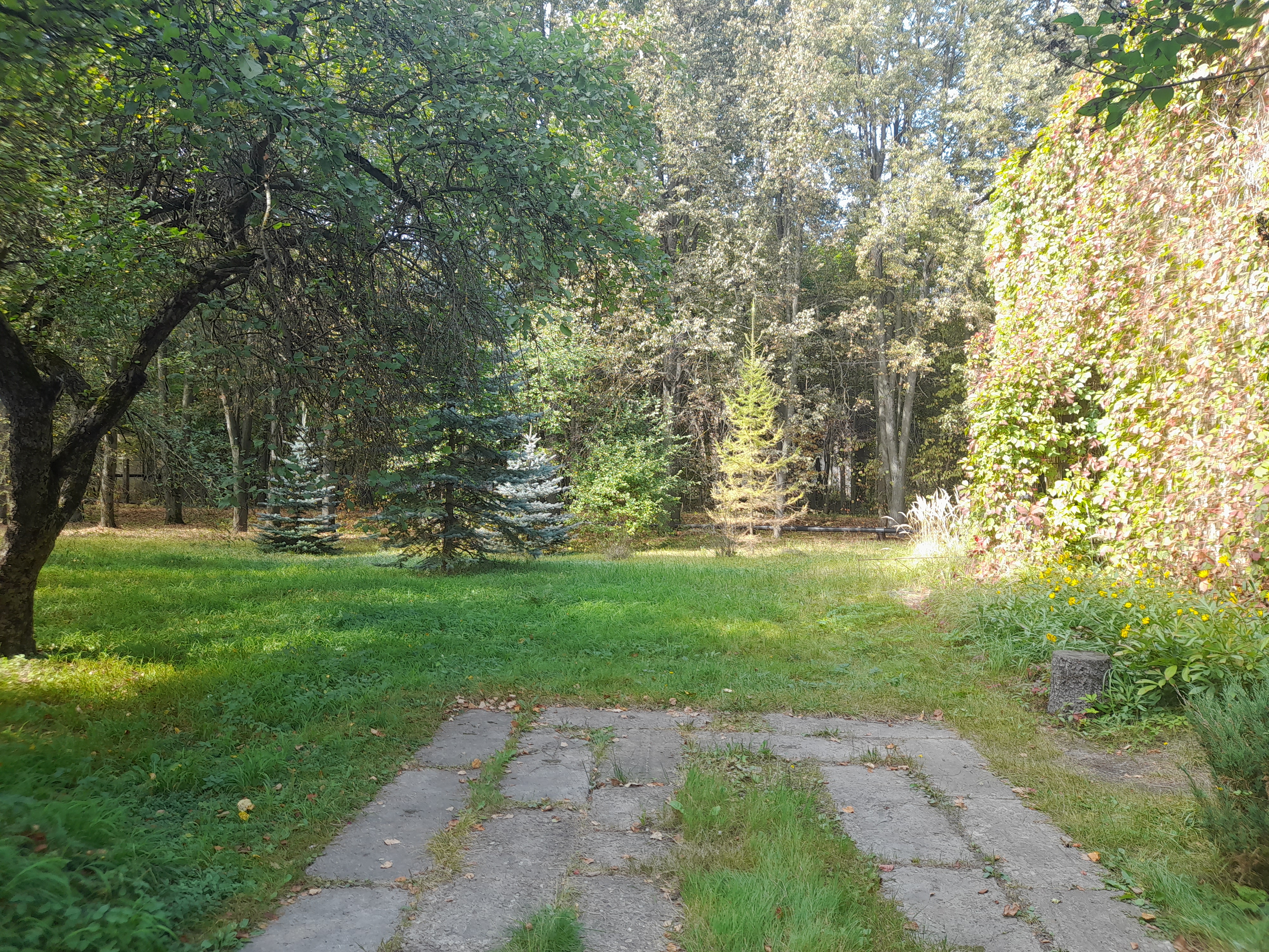 20240909_124159.jpg