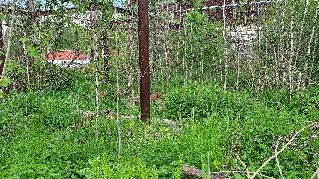 20220606_132155.jpg