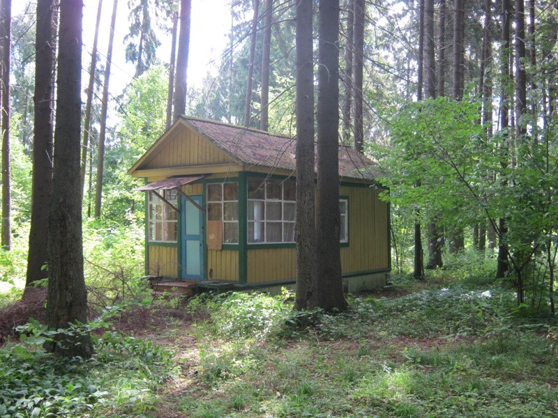554455.jpg