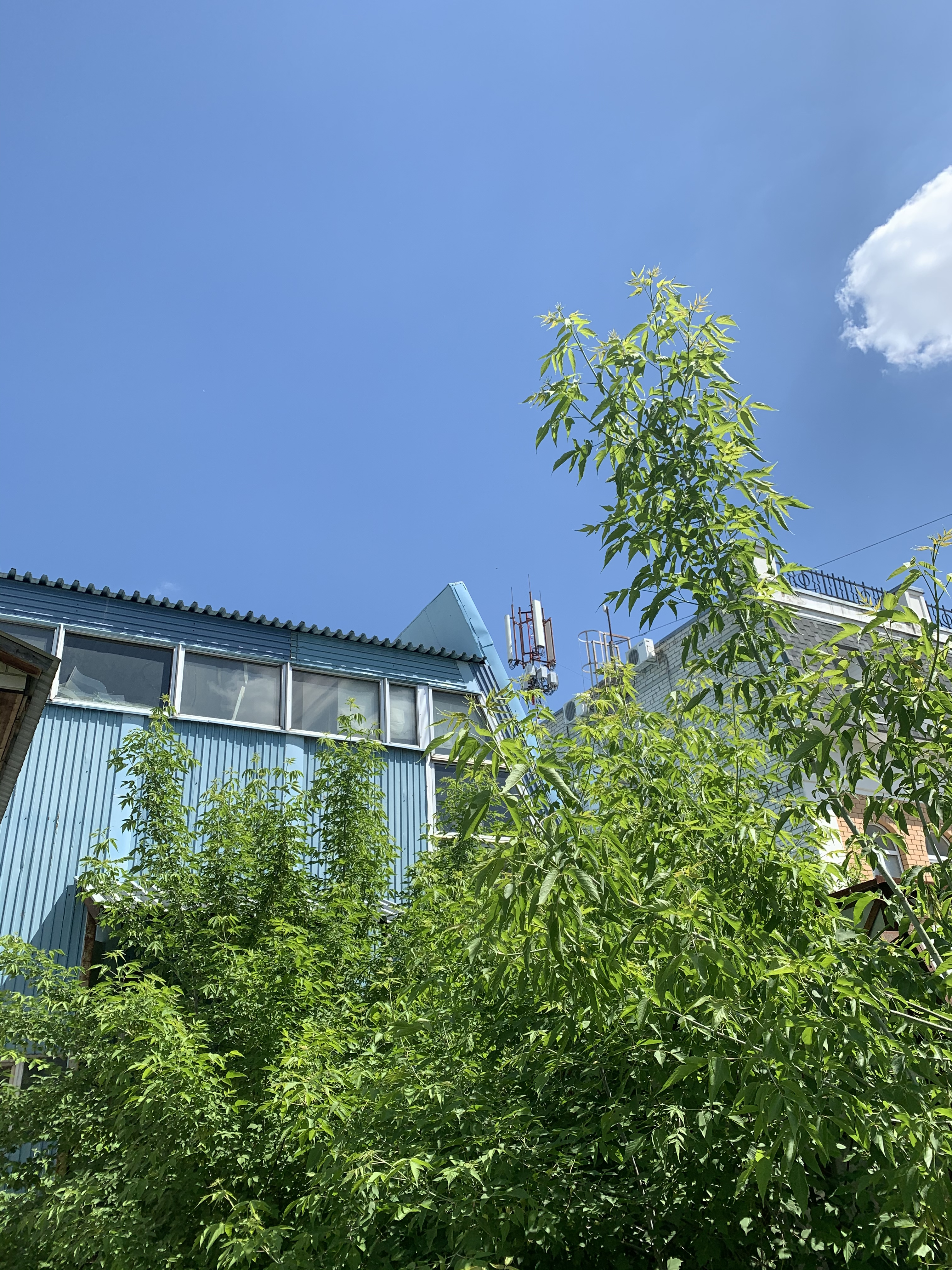 A510D05B-E775-4BA1-942A-27F6787FDFDA.jpeg