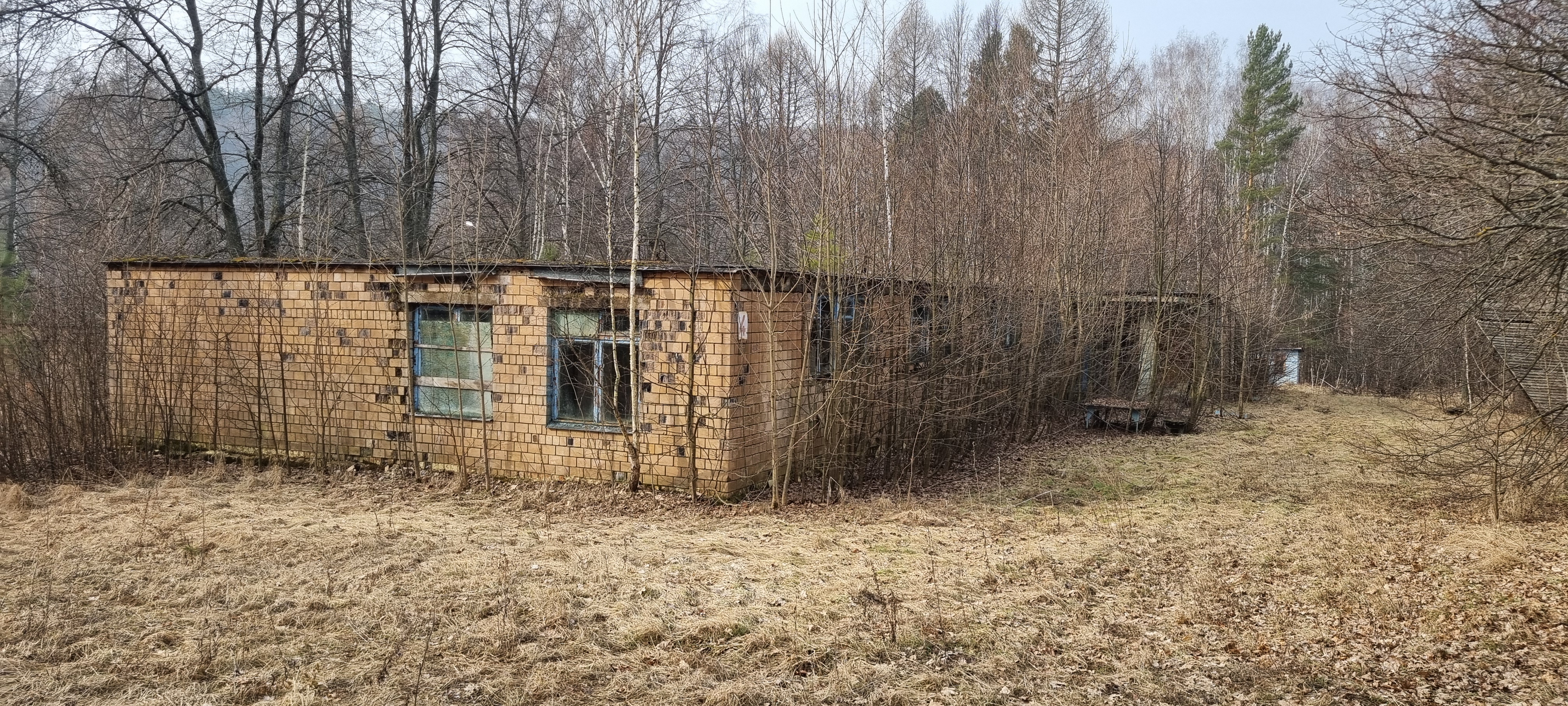 База отдыха "Лесные дали".
