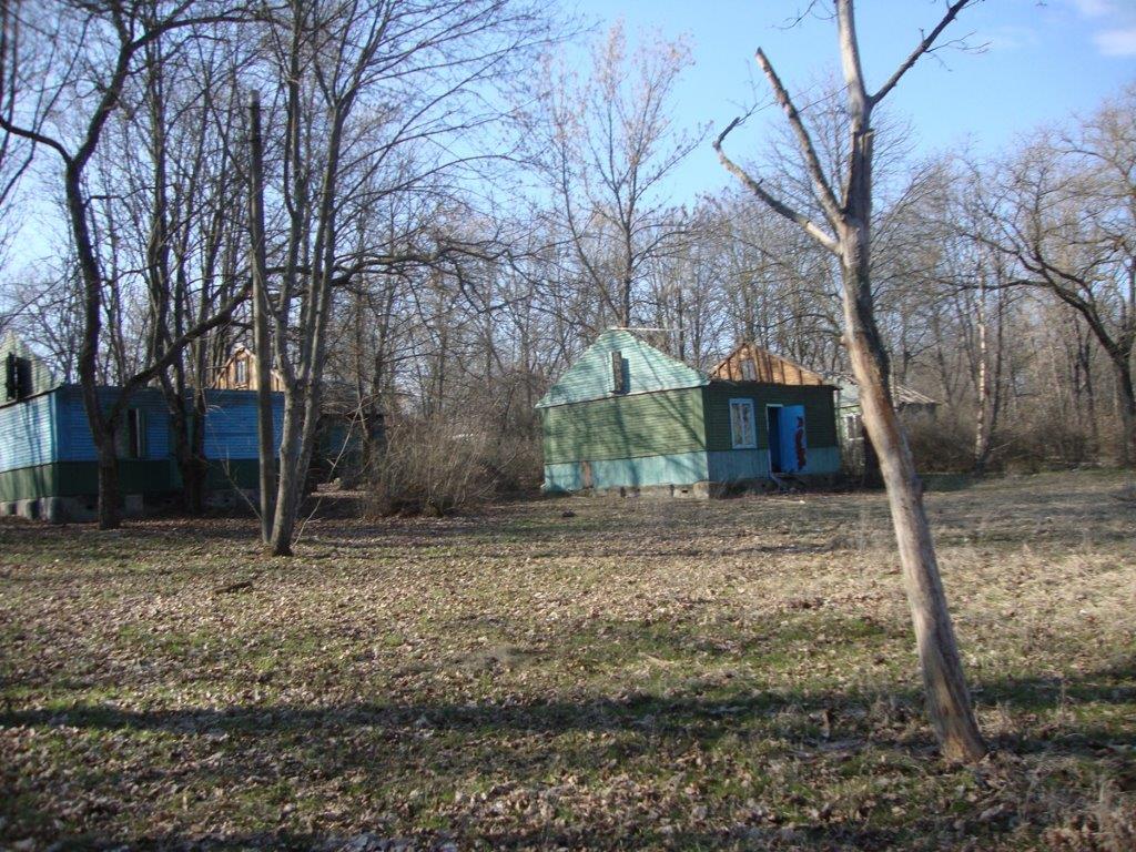 30.jpg