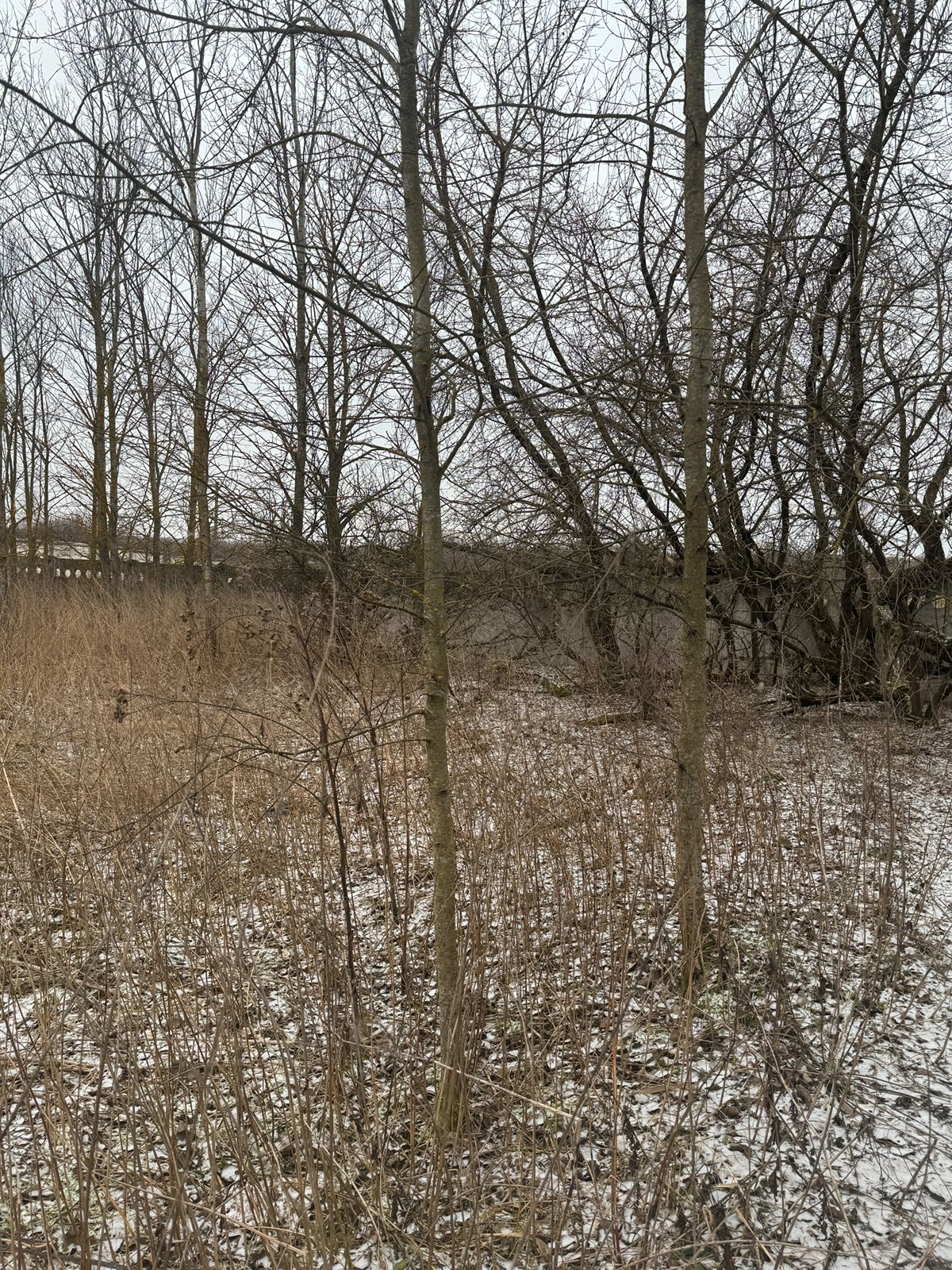 WhatsApp Image 2025-02-06 at 11.11.47 (2).jpeg