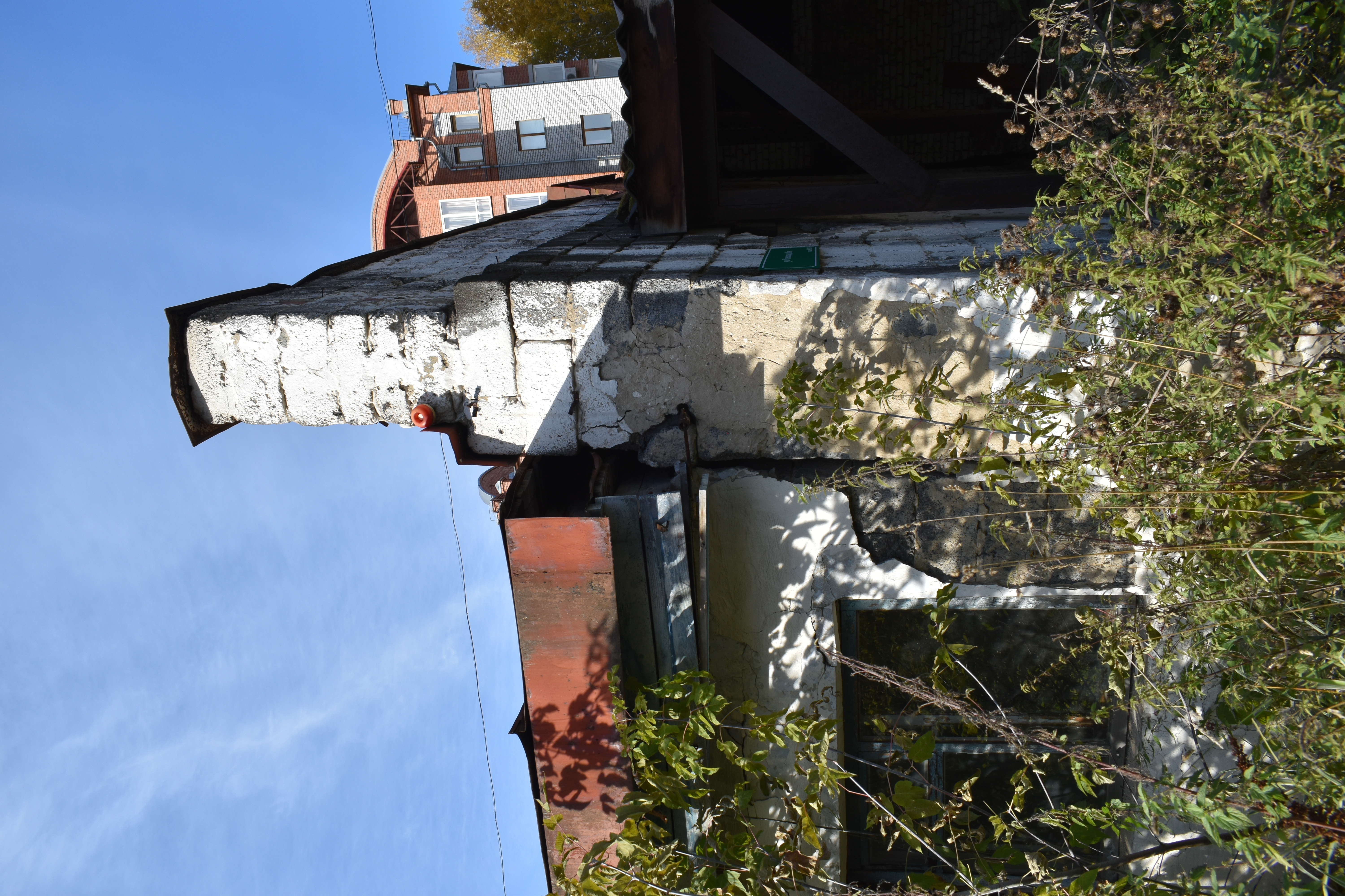 DSC_0270.JPG