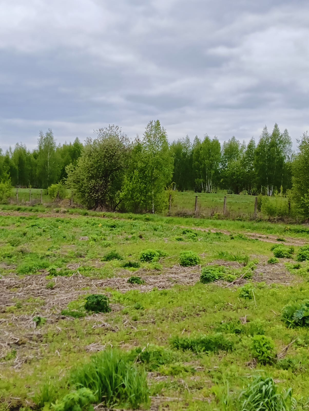 Земельно-имущественный комплекс