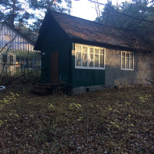Домик-8_0.jpg