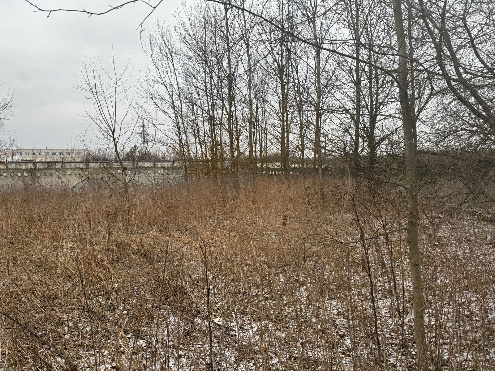 WhatsApp Image 2025-02-06 at 11.11.47 (1).jpeg