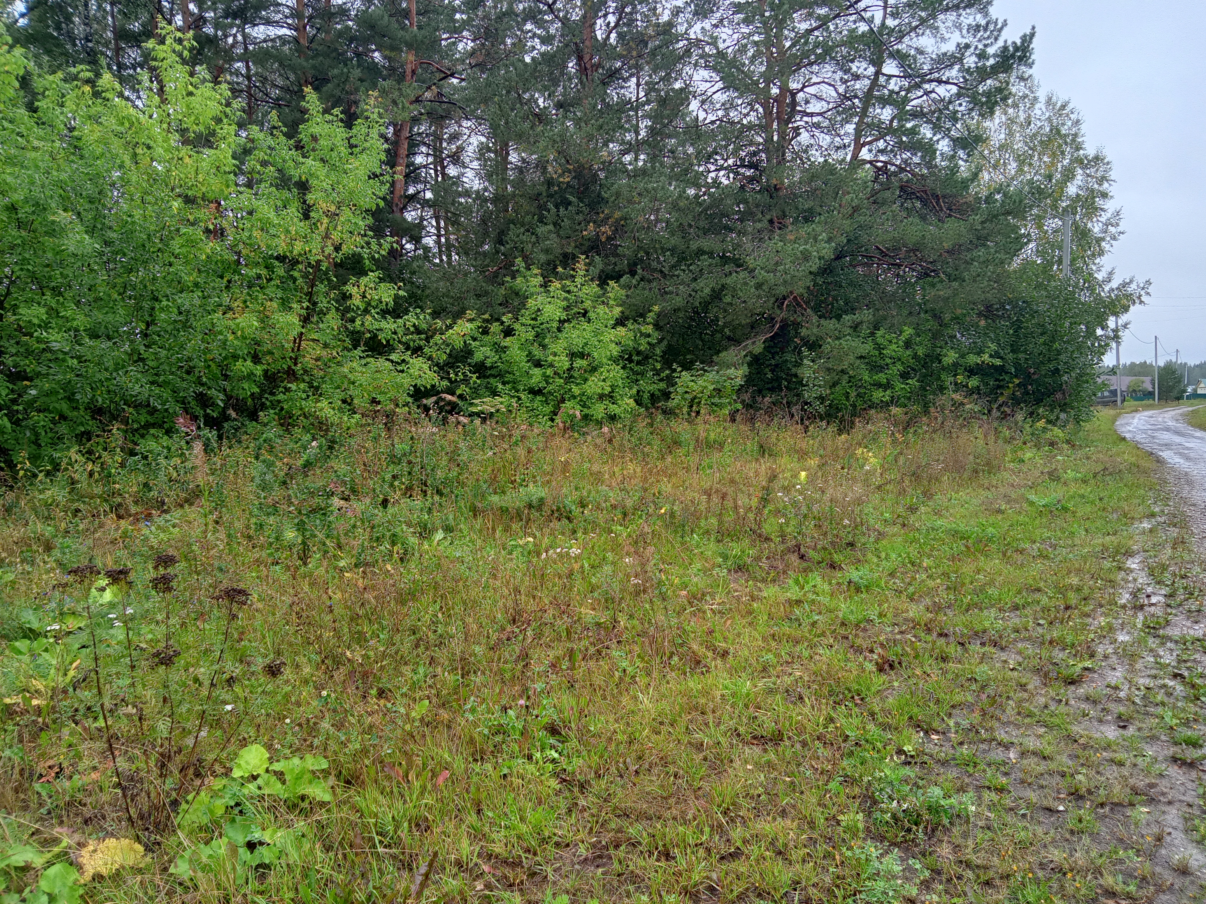 IMG20230831112011_01.jpg