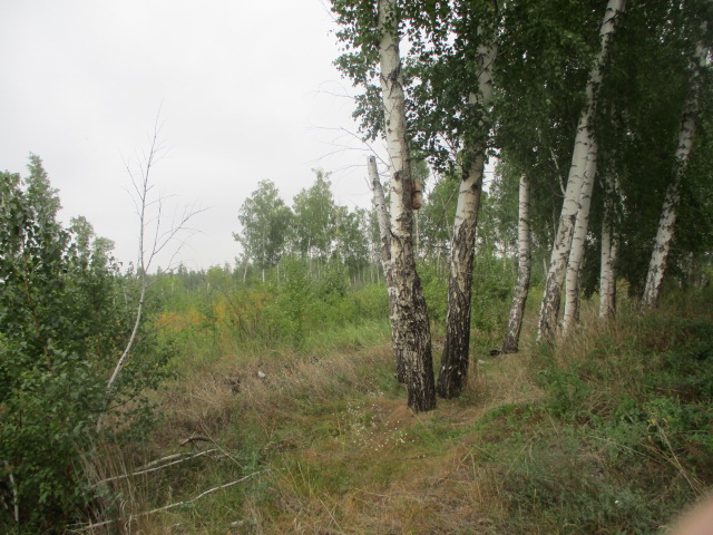 IMG_0579.JPG